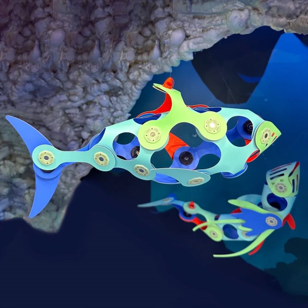 Ocean Creatures
